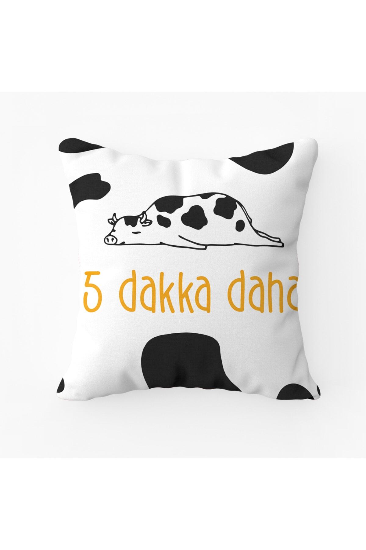 5 Dakka Daha Dekoratif Yastık Kırlent